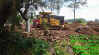 IMG-20230412-WA0289