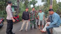 IMG-20231126-WA0164