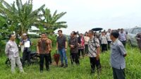 IMG-20240118-WA0175
