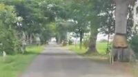 IMG-20240202-WA0153