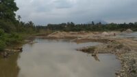 IMG-20240220-WA0276