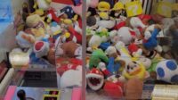 IMG_20240222_192657