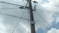 IMG-20240321-WA0199