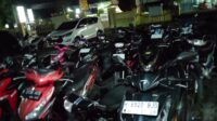 IMG-20240325-WA0295