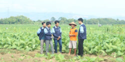 IMG-20240706-WA0150