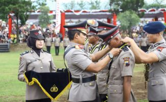 IMG-20241218-WA0234(1)