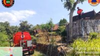 IMG-20260729-WA0043